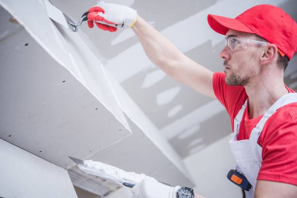 Best Fire-Damaged Drywall Repair  in Luther, OK